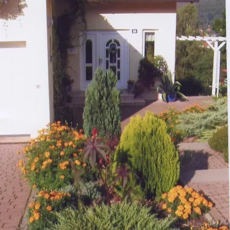 Bergblick * Zella-Mehlis